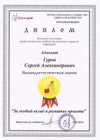Диплом "За особый вклад и развитие проекта "Праворуб"